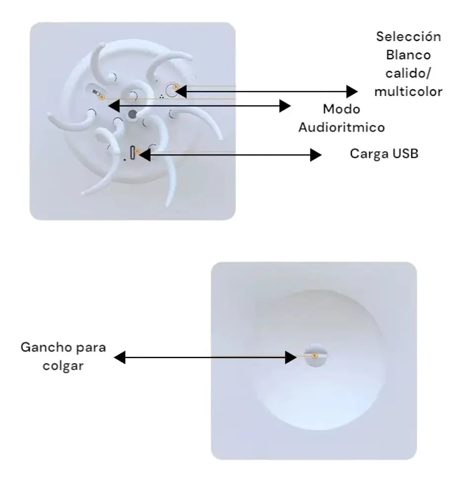 Medusa Flotante